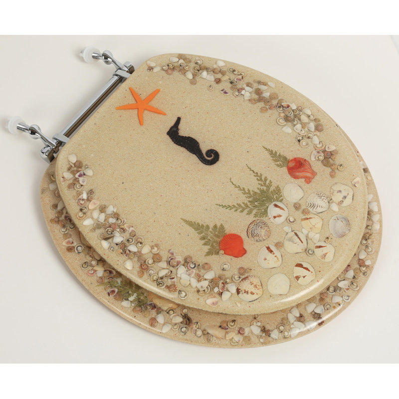 Bath Décor Acrylic Round Toilet Seat & Reviews Wayfair